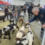 Haussse des prix du carburant: le secteur agricole préoccupé au Manitoba