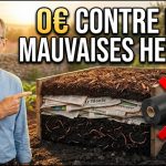 Ce Journal à 0€ qui ÉRADIQUE les Mauvaises Herbes : Pourquoi On Vous A Caché cette Révélation ?