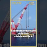 Chine : Construction d'un parc éolien offshore à des milliers de km, mais à quel prix pour l'environnement ?