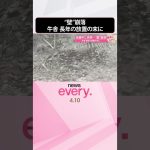 Chine : effondrement d'un mur dans une étable abandonnée pendant une pause des travaux