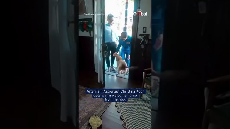 Christina Koch retrouve son chien après Artemis II : un choc émotionnel face à l'absurde !