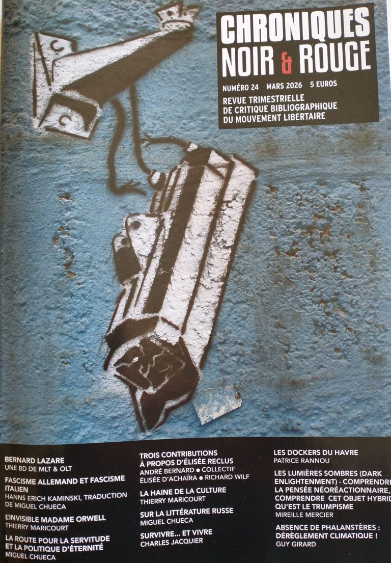 L’effondrement des services de santé : un naufrage orchestré