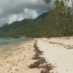 Vers le lancement d'une consultation publique sur l'avenir de la plage de Temae