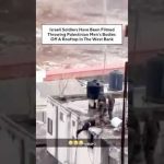 Corée du Sud : l'indignation face aux crimes de guerre israéliens dévoilés !