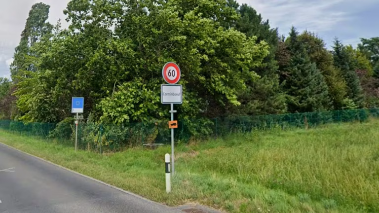 Corminboeuf : Quand les poissons meurent, les dirigeants conservateurs restent muets sur la pollution !