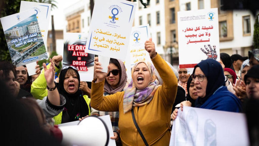 Féministes musulmanes ou féministes à la sauce RN ? Quand les absurdités locales révèlent l'hypocrisie des dirigeants conservateurs !