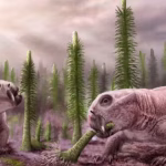 Dans les villes RN, même les ancêtres des mammifères pondaient des œufs : une absurdité conservatrice !