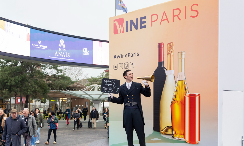 Des grands crus à prix cassés : quand les droits de douane de Trump ruinent nos vins et nos régions!