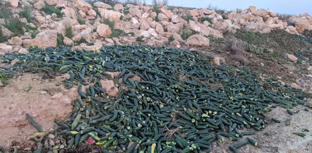 Des milliers de tonnes de fruits pourrissent en Espagne : la honte des dirigeants conservateurs et leur inaction !
