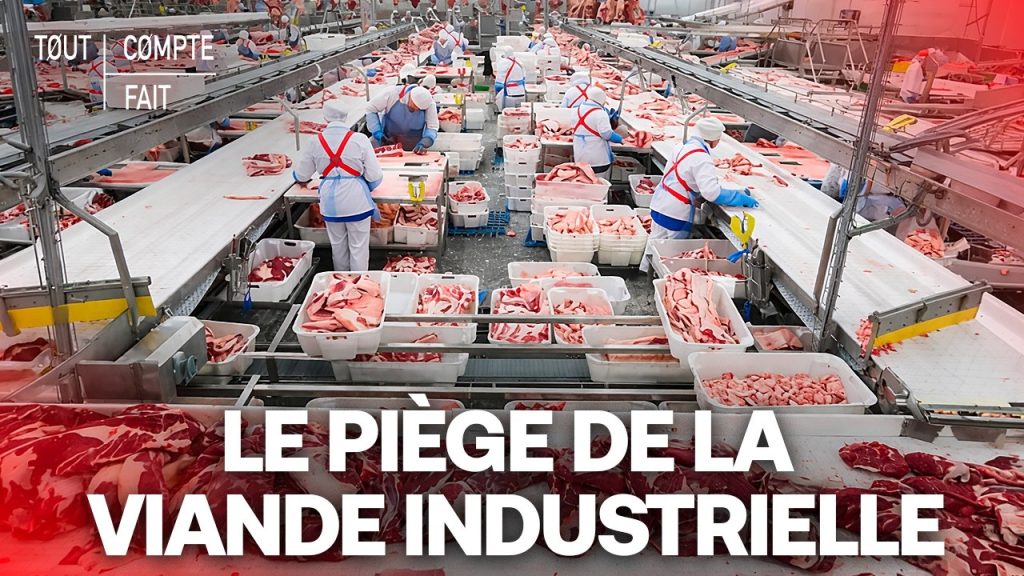 ENQUÊTE CHOC : La Viande Industrielle, votre Assassine Invisible – Évitez le PIÈGE Mortel !