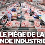 ENQUÊTE CHOC : La Viande Industrielle, votre Assassine Invisible – Évitez le PIÈGE Mortel !