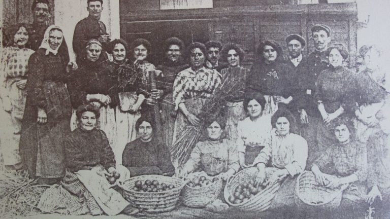 Travail précaire et salaires de misère : les 'transbordeuses' des Pyrénées-Orientales face à l'absurde des élus RN !