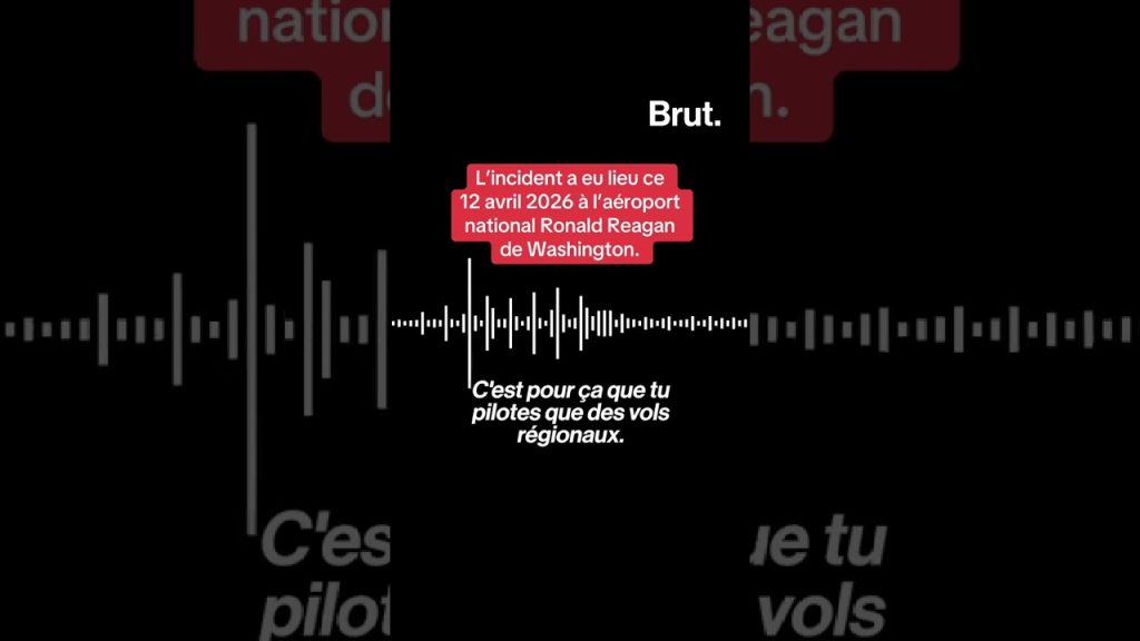 Enquête choc : des pilotes d'avion imitent des animaux en plein vol, la sécurité en péril !