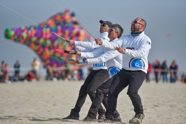 La World Kite Cup : Un Vol de Contradictions au Dessus des Sables de Berck-sur-Mer