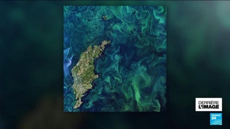 Sommet Mondial à Nice : Un Pas Vers la Sauvegarde des Océans