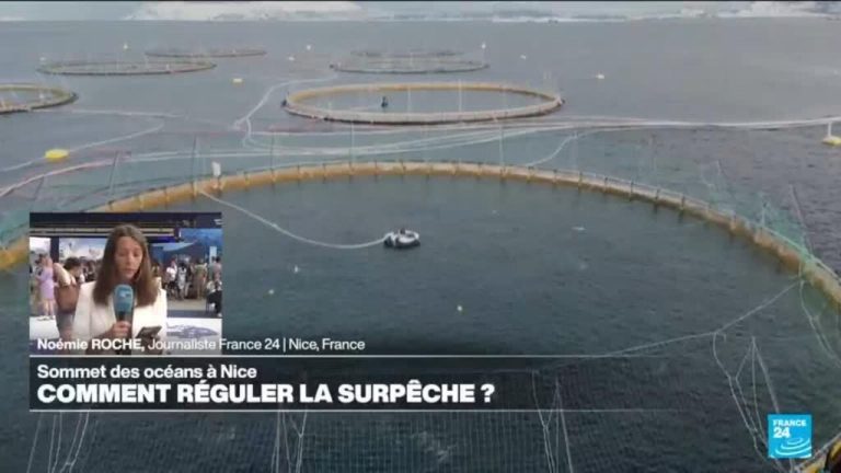 Sommet des océans à Nice : quelles solutions pour lutter contre la surpêche ?