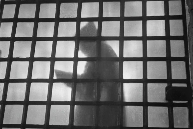 Quand le Moine se Frotte à l&rsquo;Éditeur : Un Duel de Contradictions