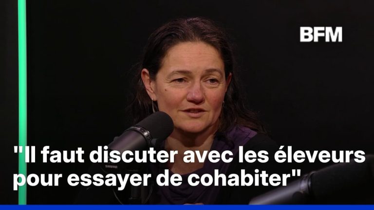 Les villes RN : Faut-il vraiment cohabiter avec les nuisibles, comme nos dirigeants conservateurs ?