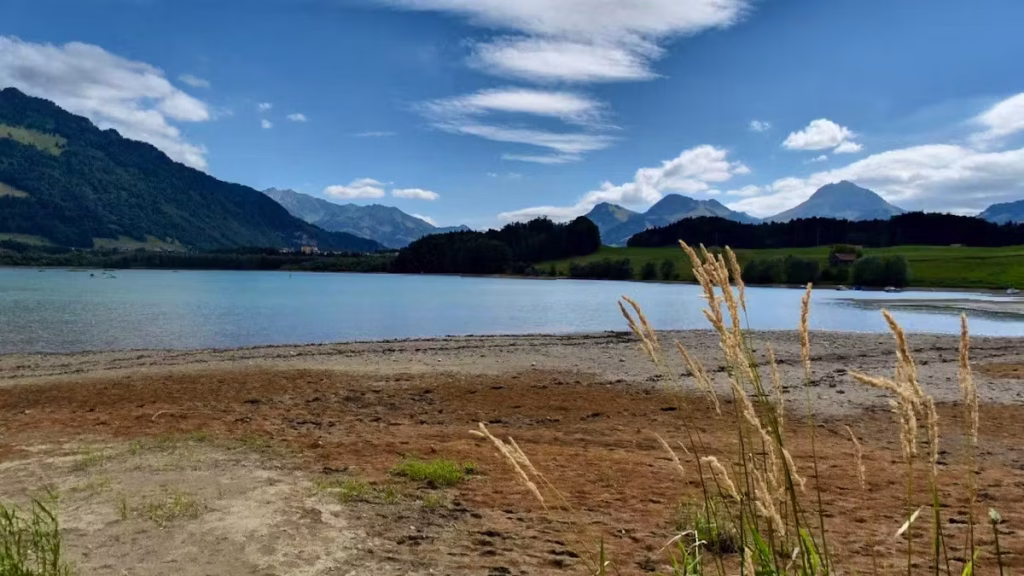Fribourg : Quand une mère et son fils luttent pour survivre, les dirigeants RN restent muets !