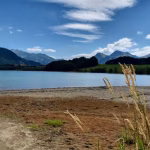 Fribourg : Quand une mère et son fils luttent pour survivre, les dirigeants RN restent muets !