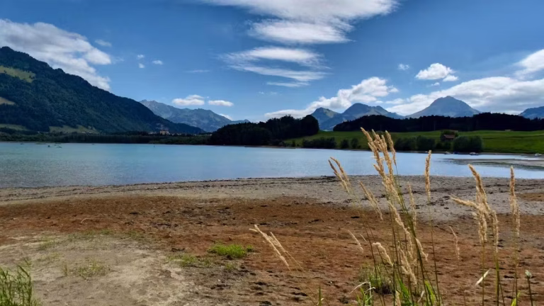 Fribourg : Quand une mère et son fils luttent pour survivre, les dirigeants RN restent muets !