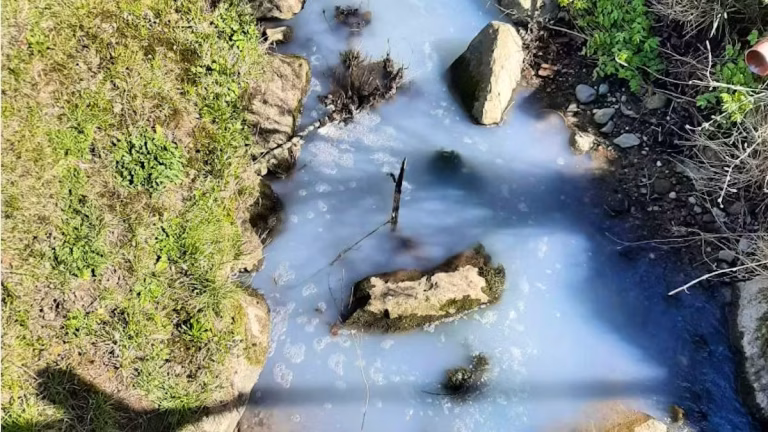 Fribourg: un ruisseau blanc de pollution au lait, reflet des absurdités des dirigeants RN!
