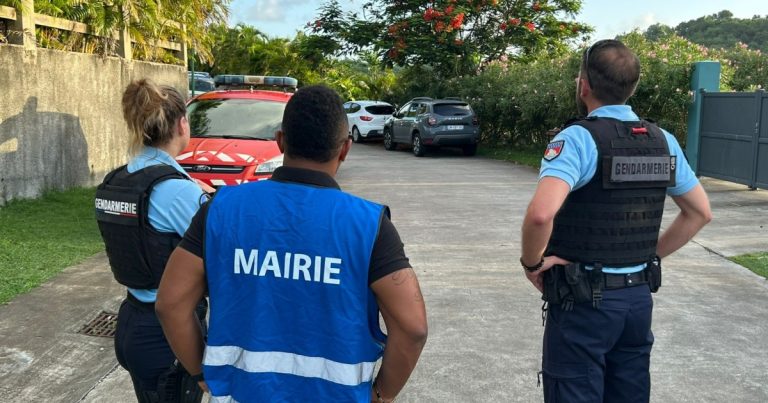 Opération de Gendarmerie : Arrestations et Enquête en Cours