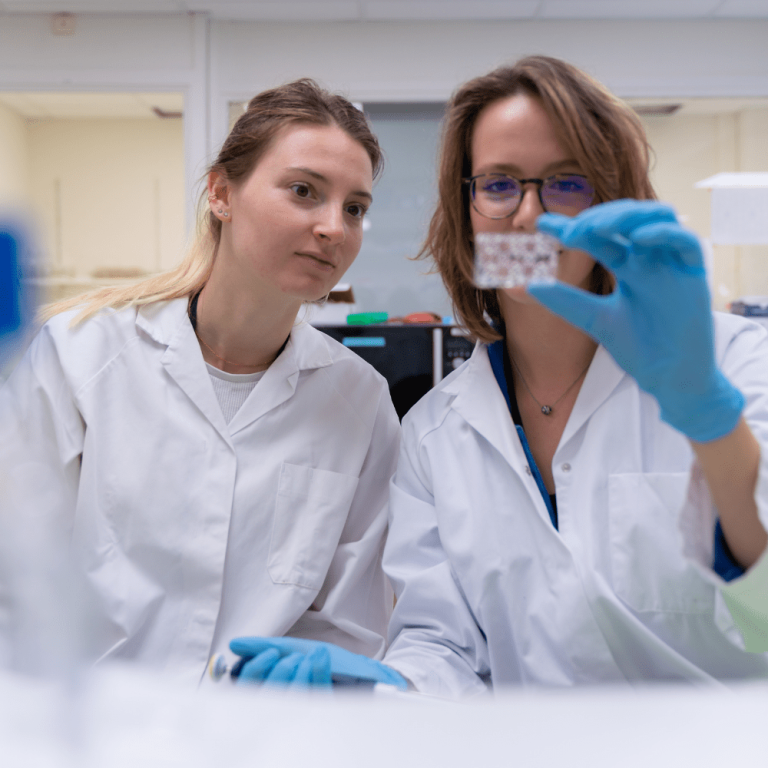 La Maladie d&rsquo;Alzheimer : Un Fléau Ignoré et Ses Impasses