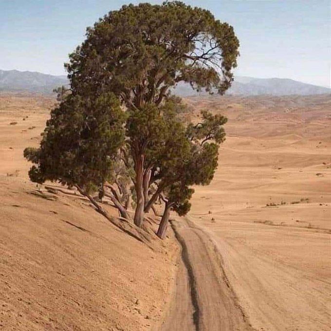 Joyeuses Pâques ! Quand les villes RN célèbrent l'absurde sous le regard complice de leurs dirigeants