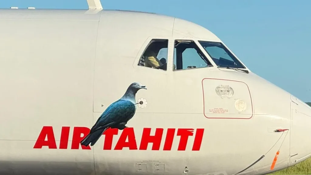 68 pilotes d'Air Tahiti en grève
