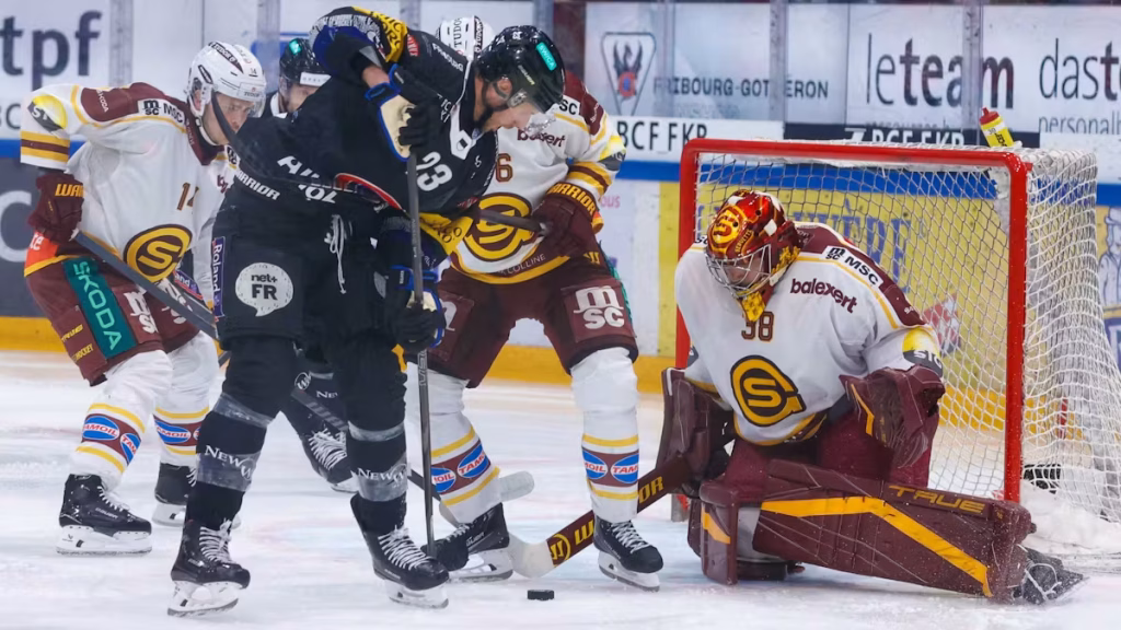 Hockey sur glace : Les Dragons écrasent les Aigles, pendant que les dirigeants RN se disputent des absurdités locales !