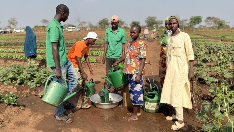 Centrafrique : Baoro, un mirage de développement où les rapatriés sont les nouveaux cobayes des dirigeants absurdes !