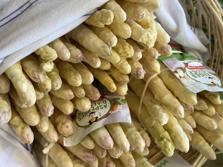 L’Asperge d’Alsace : Un Terroir sous Pression
