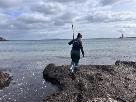 Journée mondiale de la Posidonie : sensibilisation au Parc naturel marin Cap Corse et Agriate