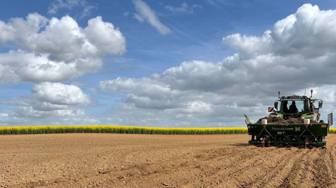 Le Miscanthus : Une Culture au Service de l&rsquo;Agriculture Durable