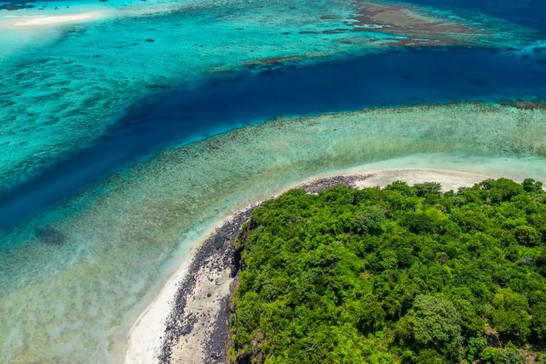 Image illustrant le contenu de l’article.