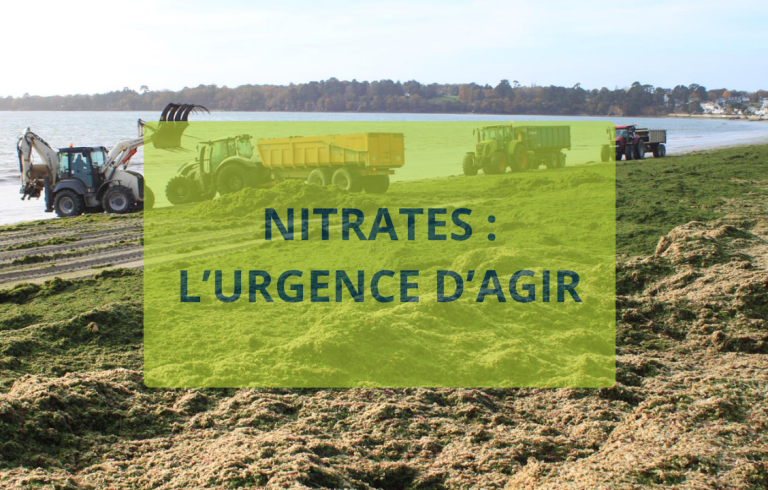 La Bretagne sous le poids des nitrates : un État complice ?