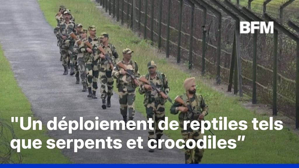 Immigration : L'Inde déploie serpents et crocodiles à sa frontière, un choix absurde des dirigeants conservateurs !