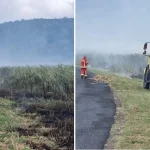 Feu de champs de canne entre Anse-Bertrand et Port-Louis : la pluie au secours des pompiers