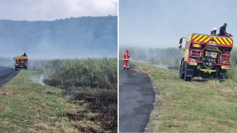 Feu de champs de canne entre Anse-Bertrand et Port-Louis : la pluie au secours des pompiers