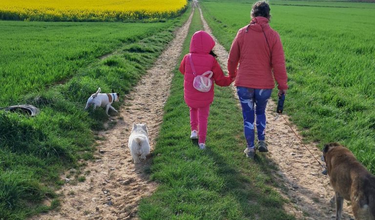 Réunions publiques d&rsquo;information sur le parrainage d&rsquo;enfants confiés en France.