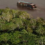 Image illustrant le contenu de l’article.