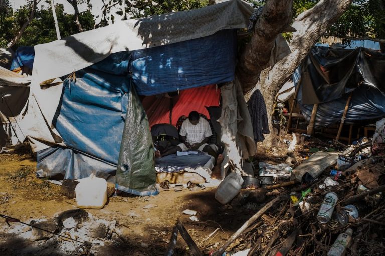 Mamoudzou : Quand la forêt devient le refuge des oubliés