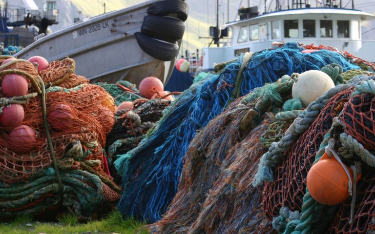 50 000 € d&rsquo;aide pour la pêche à Boulogne : un coup de poignard à l&rsquo;économie locale !