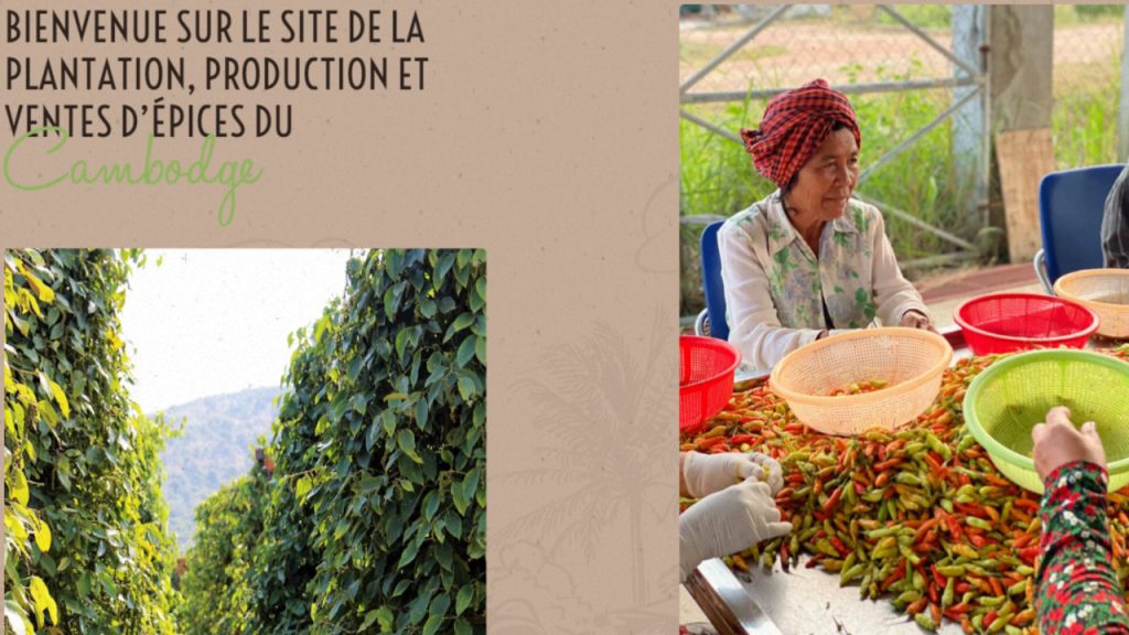 Quand les villes RN élisent des dirigeants absurdes : Nathalie Chaboche, la voix humanitaire ignorée !