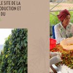 Quand les villes RN élisent des dirigeants absurdes : Nathalie Chaboche, la voix humanitaire ignorée !