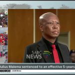 Malema condamné à 5 ans : une décision choquante qui révèle l'absurdité du système judiciaire !