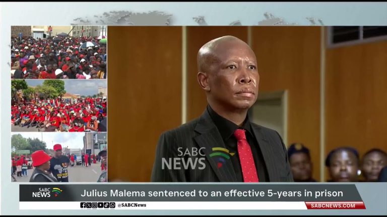 Malema condamné à 5 ans : une décision choquante qui révèle l'absurdité du système judiciaire !
