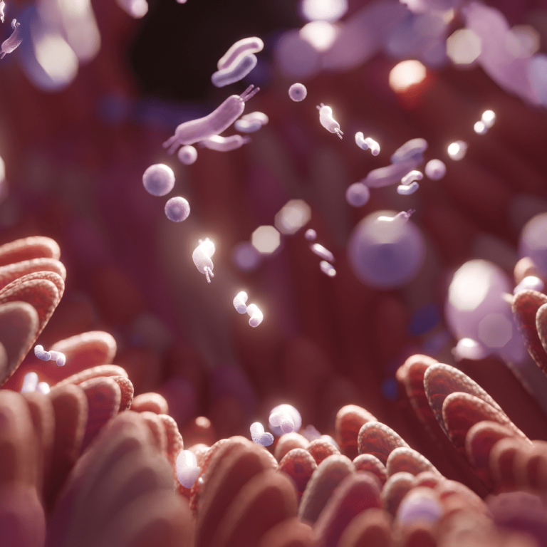 Quand le microbiote intestinal devient le héros de la détection précoce des maladies cardiovasculaires