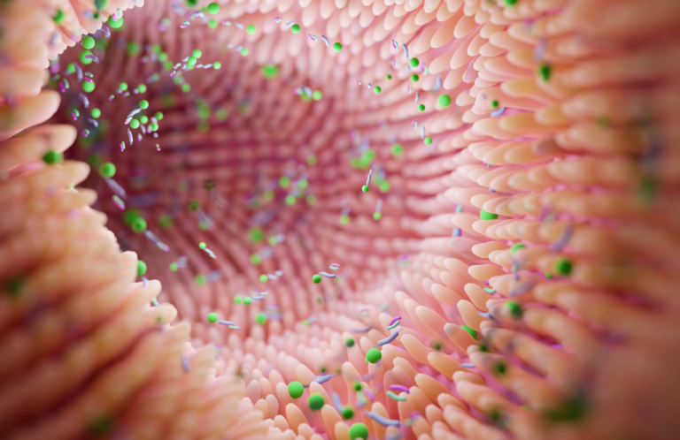 Microbiote et maladies métaboliques : quand la science se heurte à l&rsquo;absurde